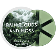Rain Clouds and Moss Segment Wax Melt - Something Different Gift Shop