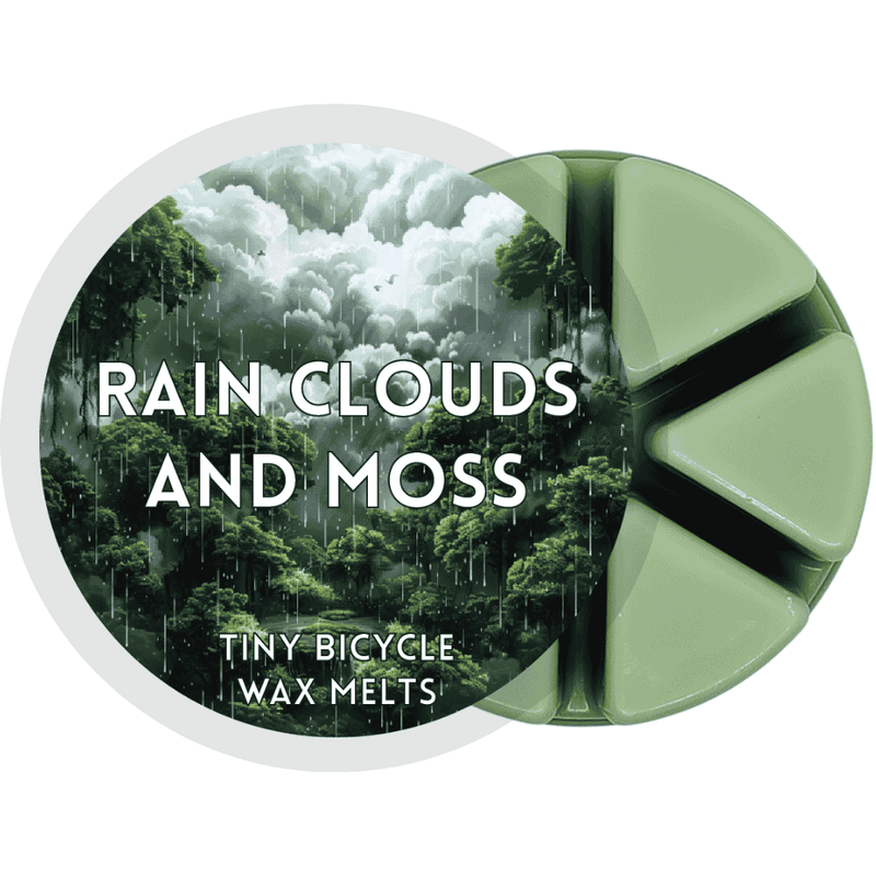 Rain Clouds and Moss Segment Wax Melt - Something Different Gift Shop