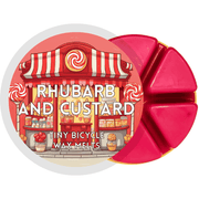 Rhubarb & Custard Segment Wax Melt - Something Different Gift Shop