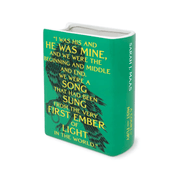 Sarah J Maas A Court of Mist and Fury ceramic book vase showing quote and book spine