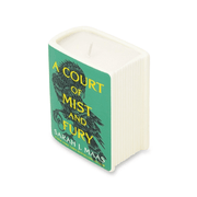 Angled view of Sarah J Maas A Court of Mist and Fury ceramic candle showing the cover artwork and wick