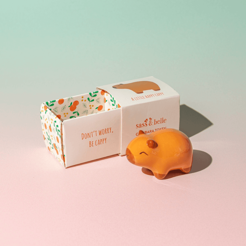 Sass & Belle Capybara pocket token beside its gift box with the phrase Don’t worry, be cappy on a pastel background