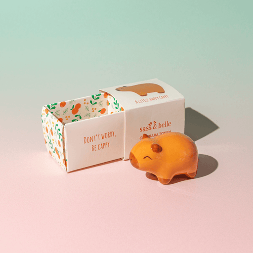 Sass & Belle Capybara pocket token beside its gift box with the phrase Don’t worry, be cappy on a pastel background
