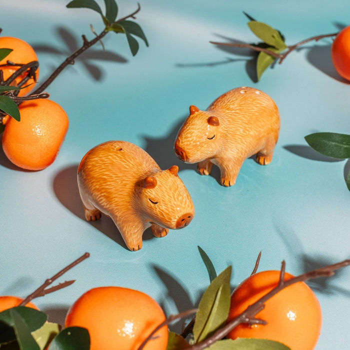 Close-up of Sass & Belle Capybara salt and pepper shakers in a bright lifestyle setting