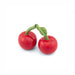 Sass & Belle Cherry salt and pepper shakers, red ceramic cherry pair