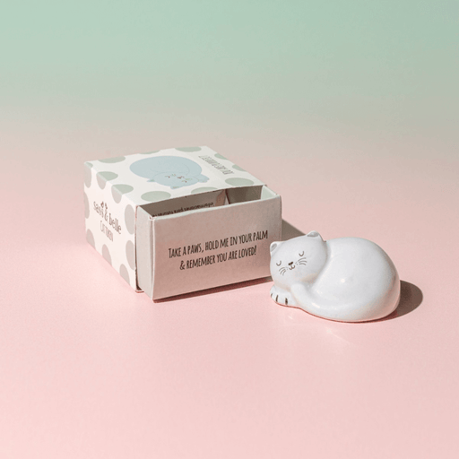 Pawfect Cat pocket token beside its Sass & Belle gift box on a pastel pink background