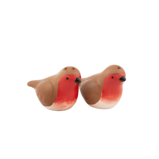 Sass and Belle robin salt and pepper shakers featuring two ceramic robin birds with red breast details