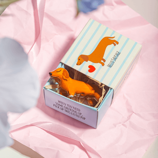 Sausage Dog pocket token sitting in a Sass & Belle Hello Sausage gift box with striped lid