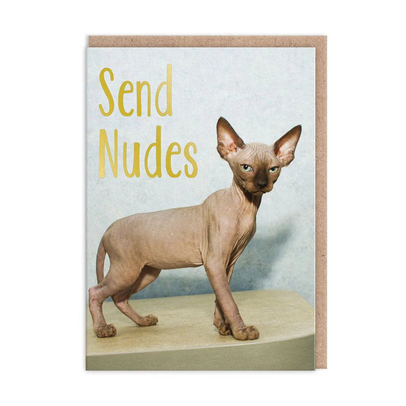 Funny rude greeting card with sphynx cat photo, text Send Nudes, A6 with kraft envelope
