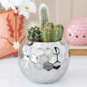 Silver Disco Ball Vase - Something Different Gift Shop