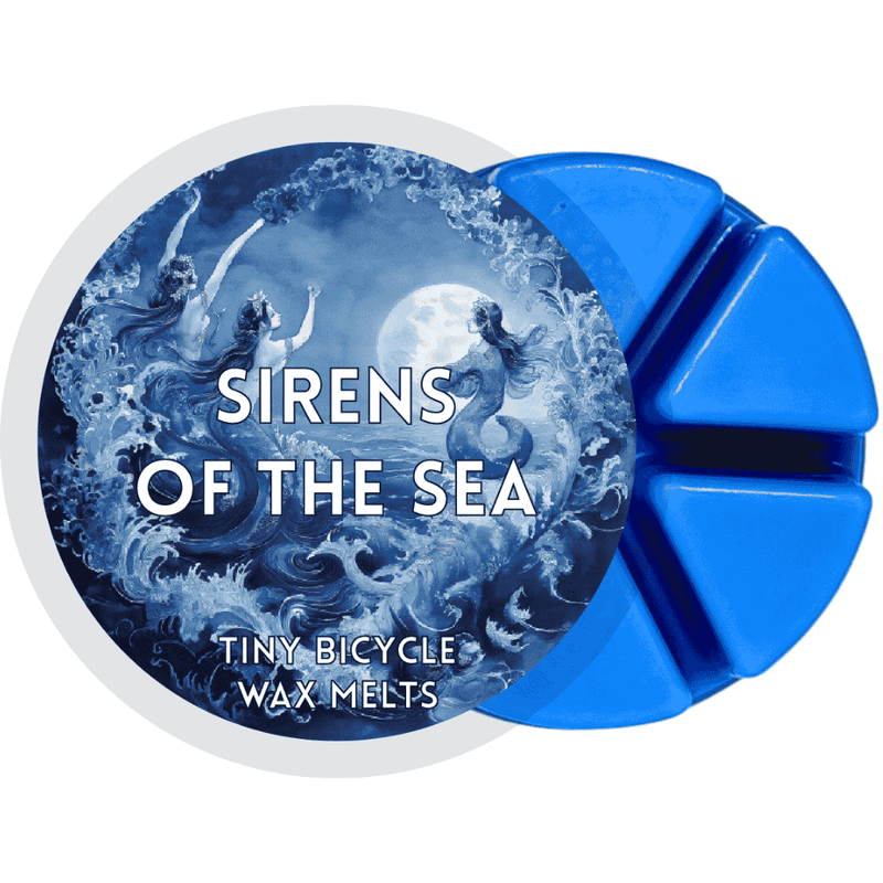 Sirens Of The Sea Segment Wax Melt - Something Different Gift Shop