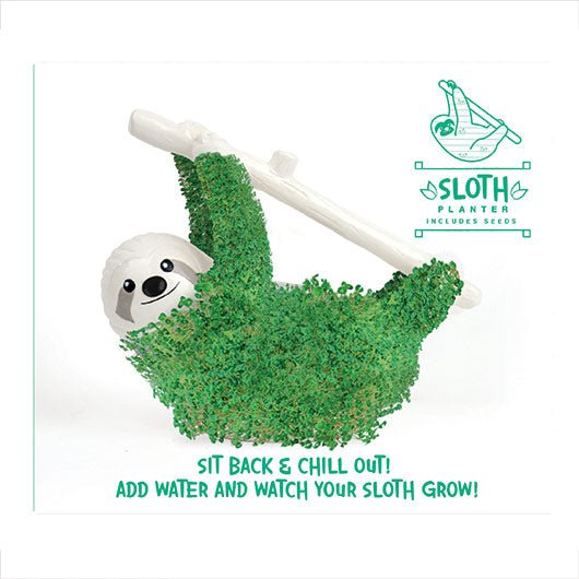 Sloth chia planter covered in green sprouts hanging from a white branch with sit back and chill out slogan