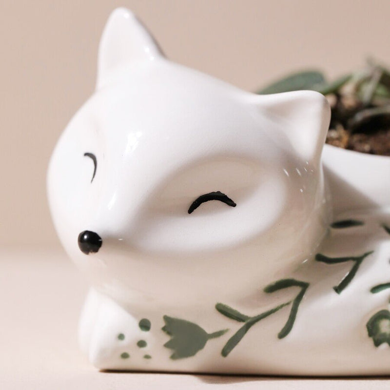 Lisa Angel Small Ceramic Sleeping Fox Planter – Something Different Gift Shop