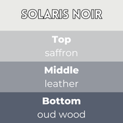 Solaris Noir Segment Wax Melt - Something Different Gift Shop