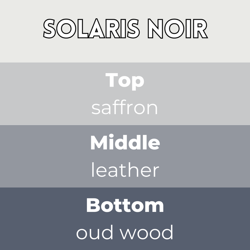 Solaris Noir Segment Wax Melt - Something Different Gift Shop