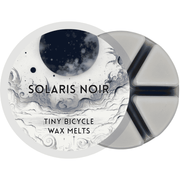 Solaris Noir Segment Wax Melt - Something Different Gift Shop