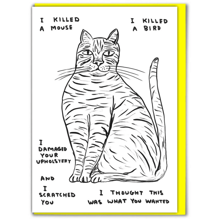 David Shrigley cat greeting card showing a tabby with hand-lettered lines about killing a mouse and bird, scratching you, and thinking this was what you wanted.


