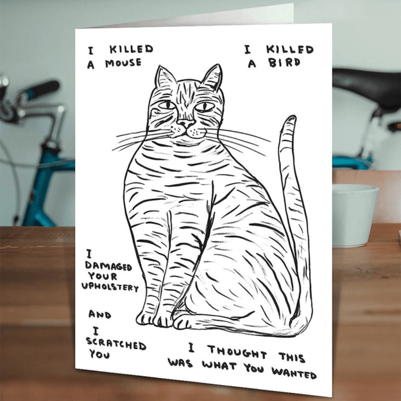 David Shrigley cat card on a wooden table in a lifestyle scene.

