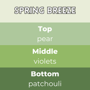 Spring Breeze Segment Wax Melt - Something Different Gift Shop