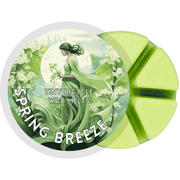 Spring Breeze Segment Wax Melt - Something Different Gift Shop
