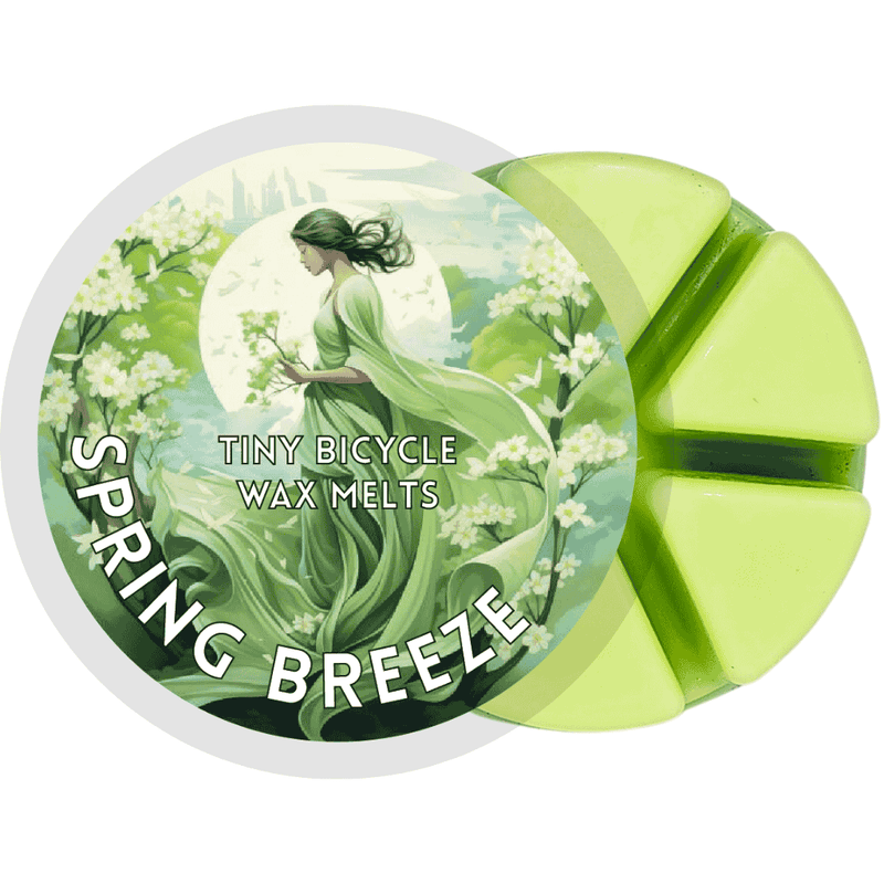 Spring Breeze Segment Wax Melt - Something Different Gift Shop