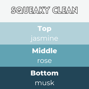 Squeaky Clean Segment Wax Melt - Something Different Gift Shop