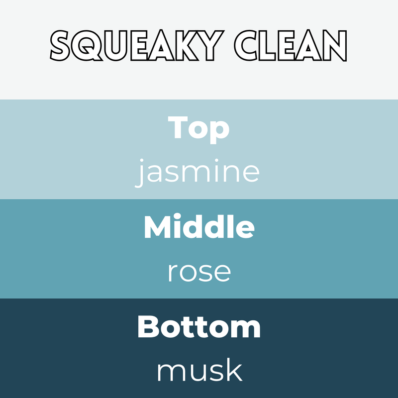 Squeaky Clean Segment Wax Melt - Something Different Gift Shop