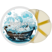 Squeaky Clean Segment Wax Melt - Something Different Gift Shop