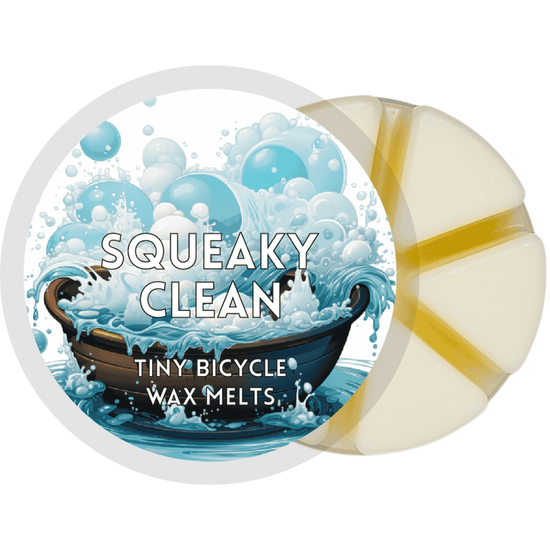 Squeaky Clean Segment Wax Melt - Something Different Gift Shop