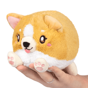 Squishable Snacker Baby Corgi plush front view