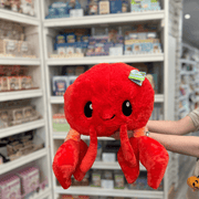 Squishable Lobster plush toy held in hands in a gift shop, front view