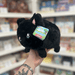 Mini Squishable Black Kitty plush toy held in hand in a gift shop, side view