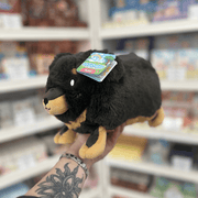 Mini Squishable Fluffy Dachshund plush toy held in hand in a gift shop, side view