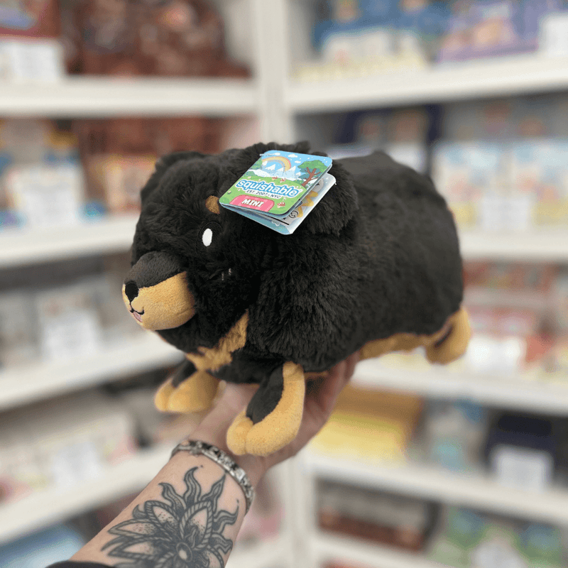 Mini Squishable Fluffy Dachshund plush toy held in hand in a gift shop, side view
