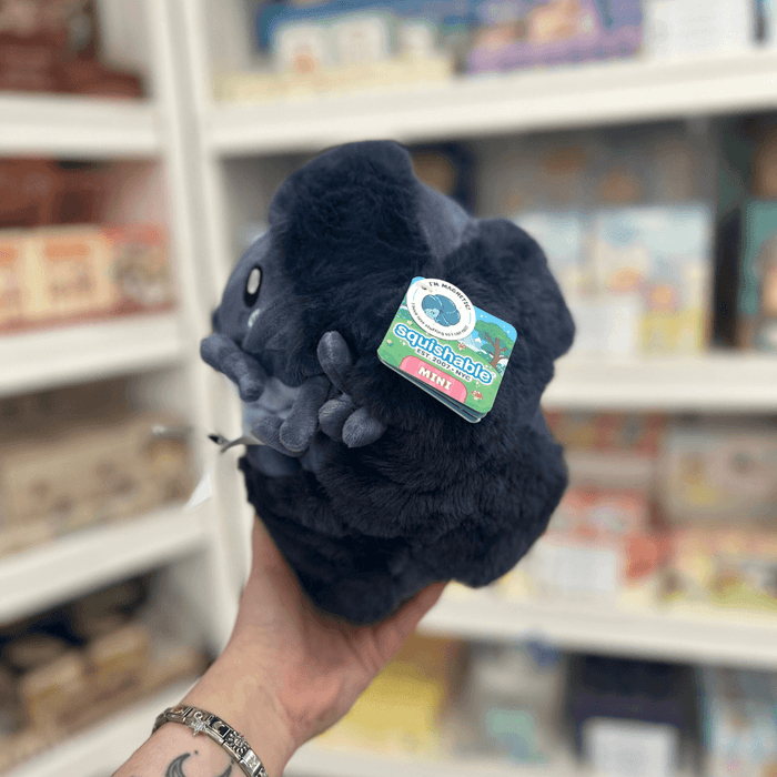 Mini Squishable Pillbug Rollie Pollie plush toy held in hand in a gift shop, side view