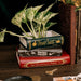 Oliver Twist book planter styled on a desk with trailing plant and Sherlock Holmes décor