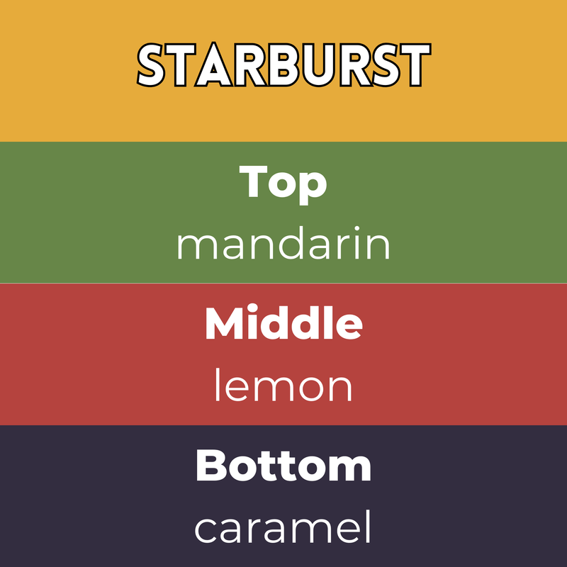 Starburst Segment Wax Melt - Something Different Gift Shop