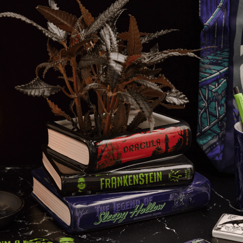 Sleepy Hollow, Frankenstein and Dracula stacked book planter displayed with a houseplant