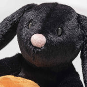 Face detail of Mr Spice Hoppie with glossy black fur and pink nose