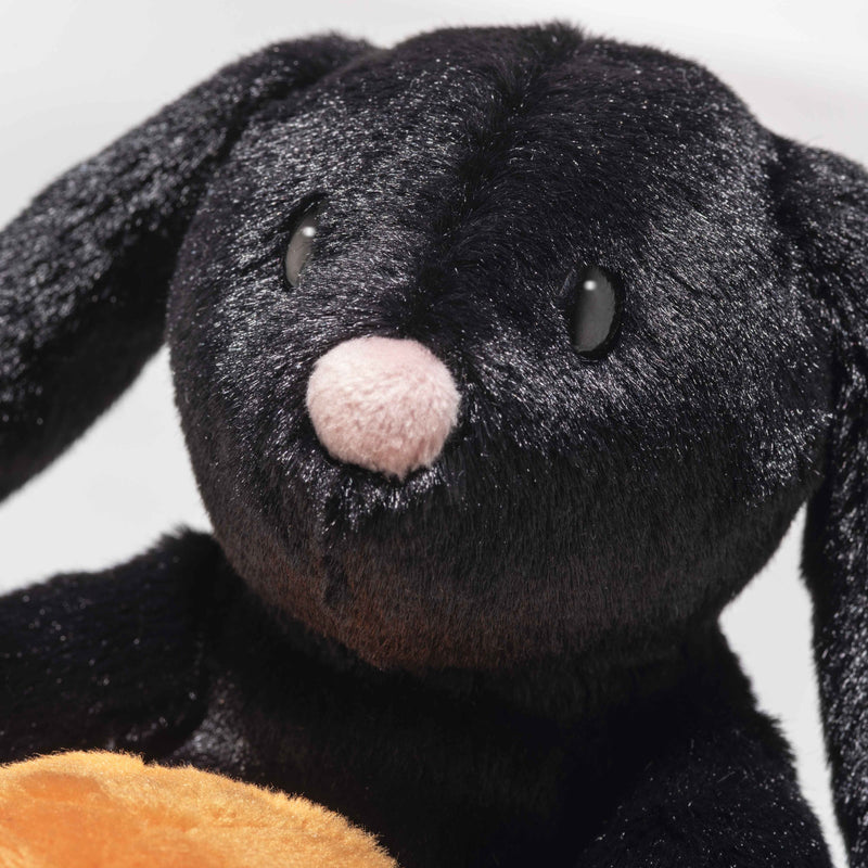 Face detail of Mr Spice Hoppie with glossy black fur and pink nose