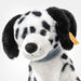 Close-up of Steiff Oskar Dalmatian showing plush black spots, floppy ears and button-in-ear tag