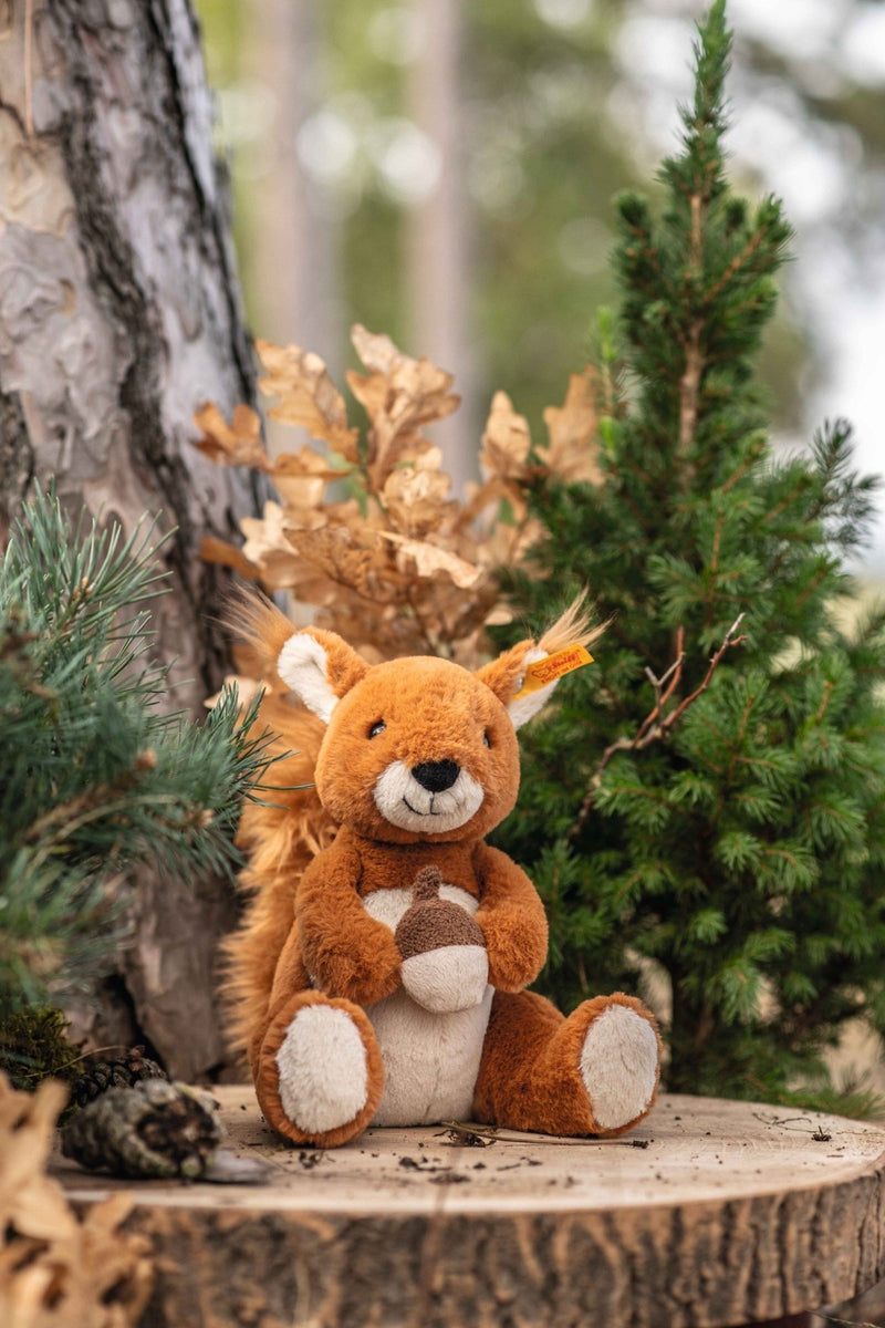 Lifestyle shot of Steiff Phil Squirrel plush holding an acorn in a forest setting – Steiff bears gift idea