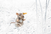 Steiff Piff Mouse plush photographed outdoors in snowy grass with yellow ear tag.