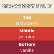 Strawberry Fields Segment Wax Melt - Something Different Gift Shop