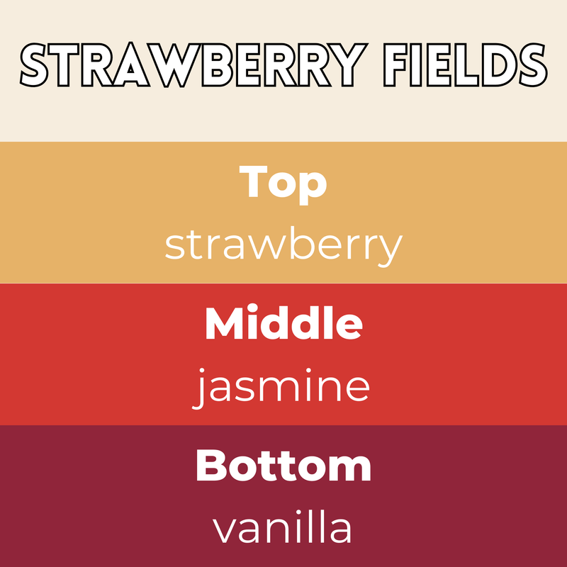 Strawberry Fields Segment Wax Melt - Something Different Gift Shop