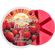 Strawberry Fields Segment Wax Melt - Something Different Gift Shop