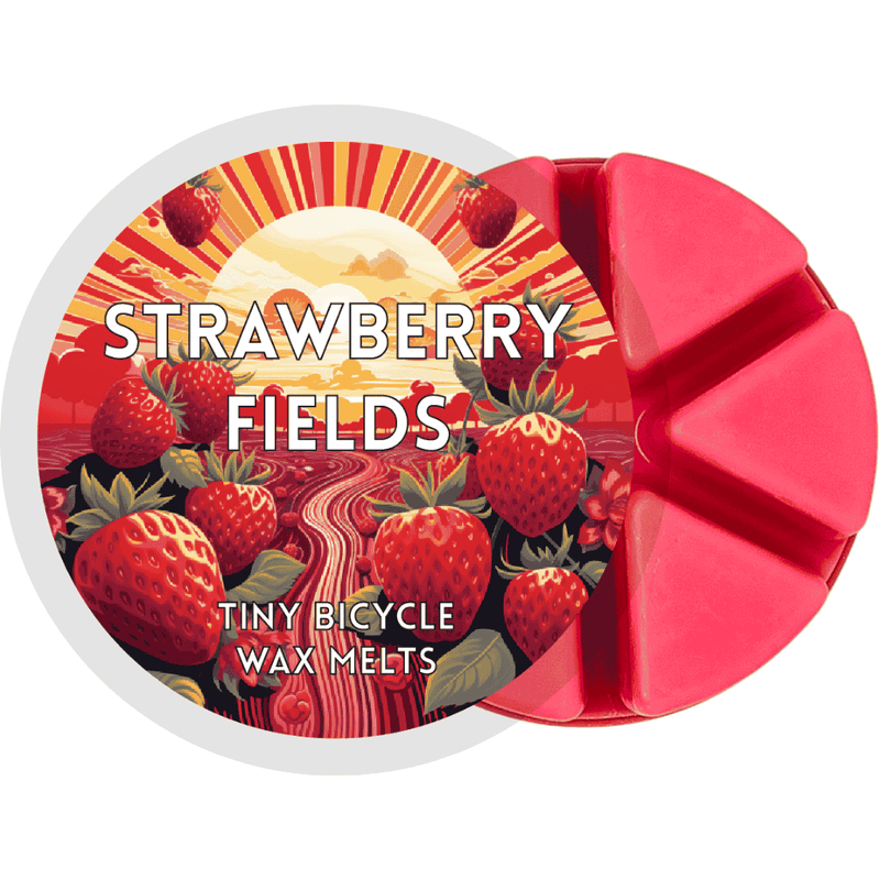 Strawberry Fields Segment Wax Melt - Something Different Gift Shop
