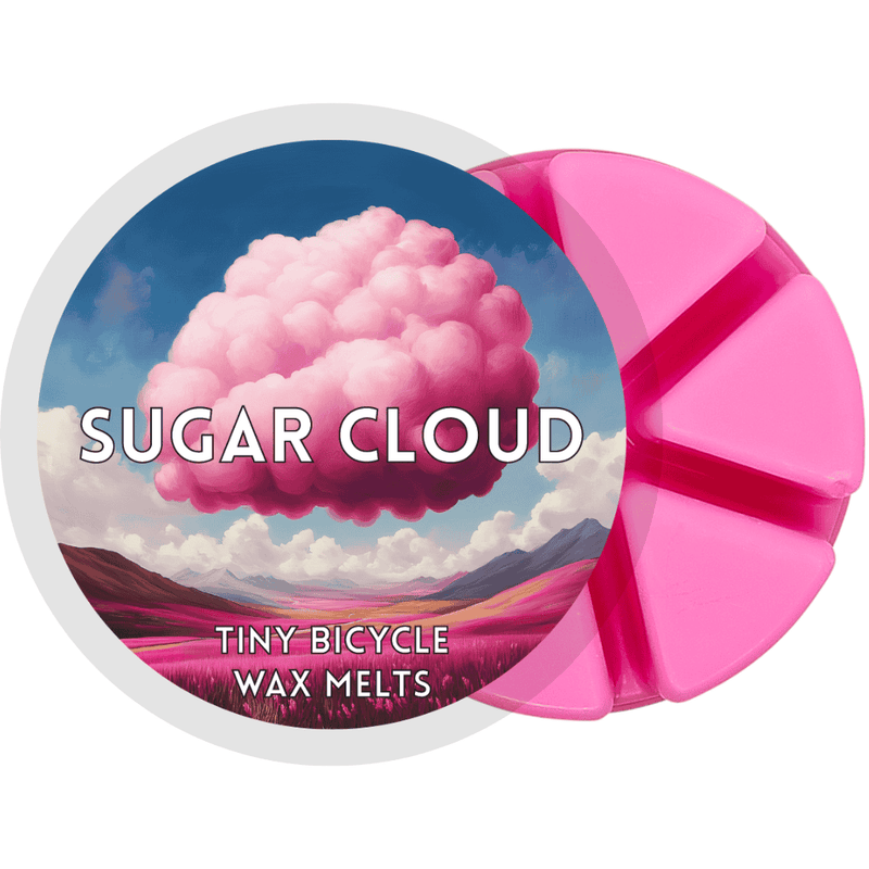 Sugar Cloud Segment Wax Melt - Something Different Gift Shop