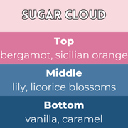 Sugar Cloud Segment Wax Melt - Something Different Gift Shop