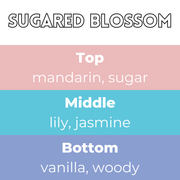 Sugared Blossom Segment Wax Melt - Something Different Gift Shop